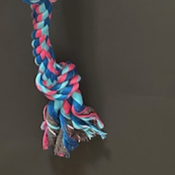Charms Raspberry Scented Blow Pop Dog Rope - Picture 4 of 6